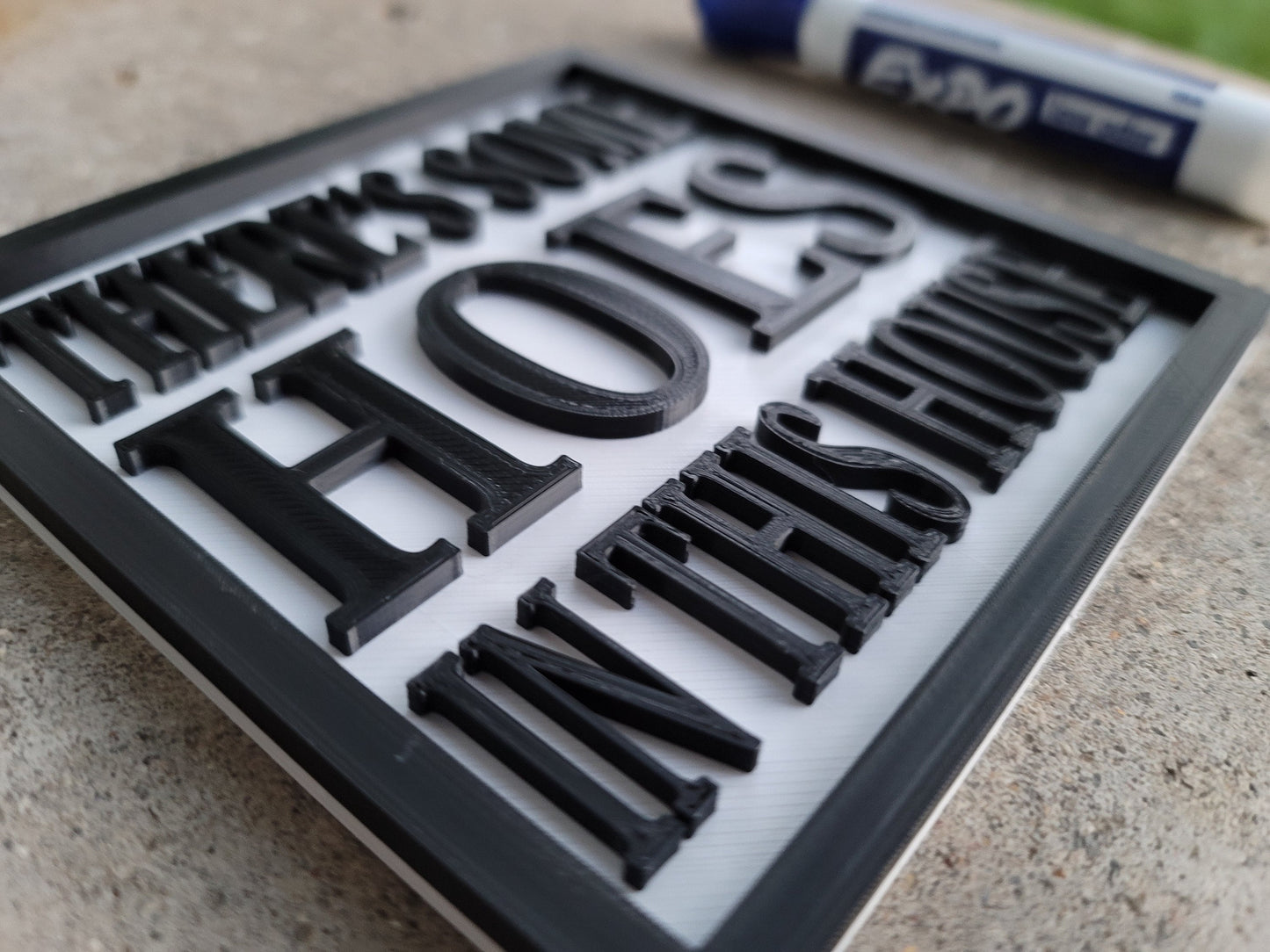There's some HOES in this house wall - decor gag gift funny sign whores sluts he ho slut sluts hos