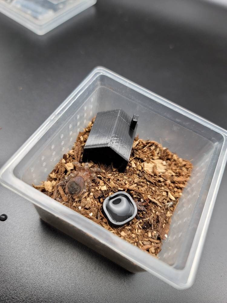 Tarantula Bowls - mini small animals jumping spider reptile mantis sling baby bowls dishes perfect for all types of small critters!
