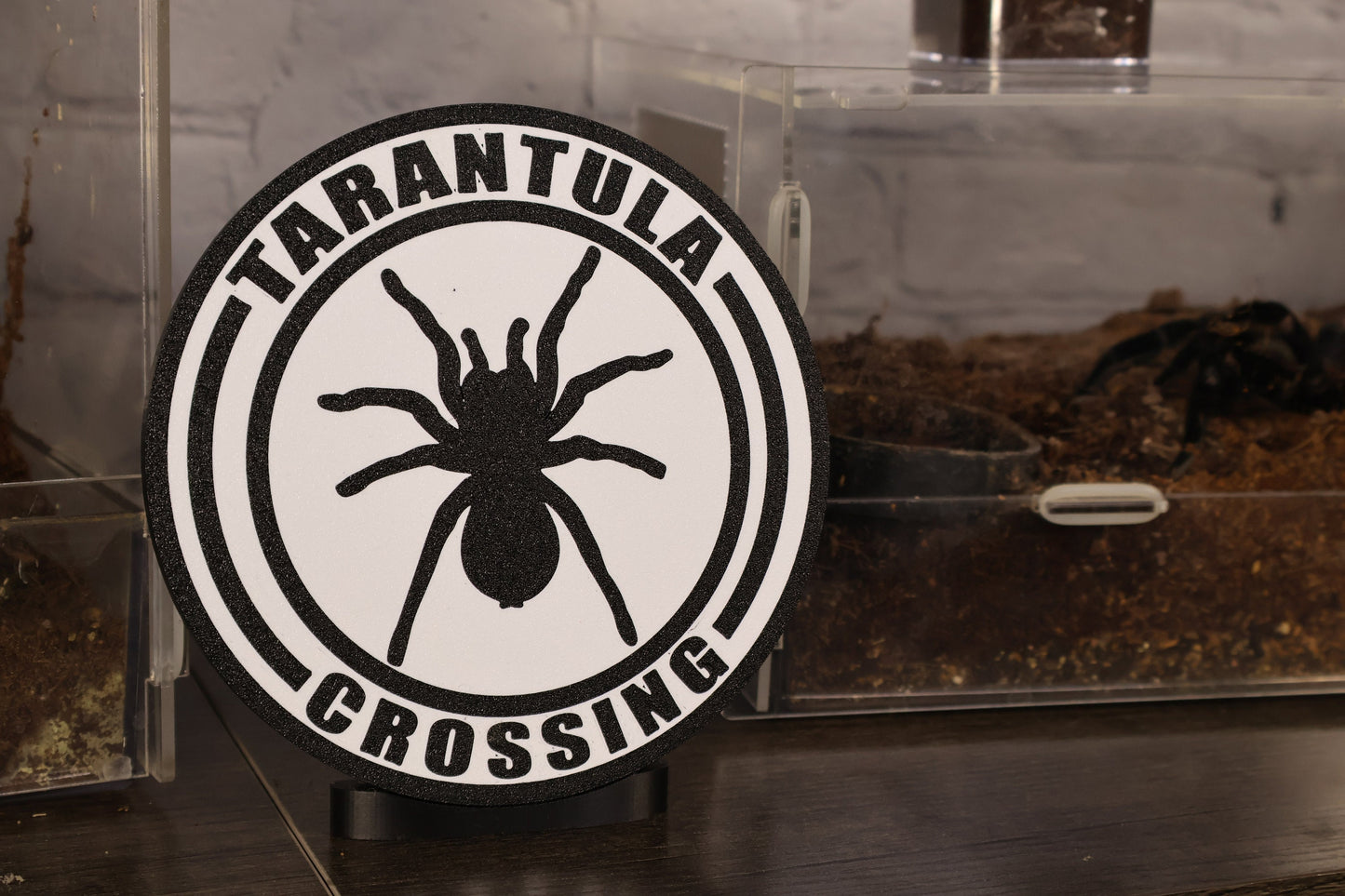TARANTULA CROSSING 3d printed shelf wall decor sign