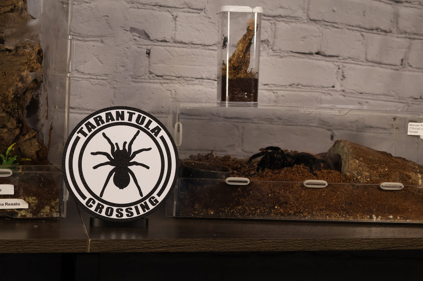 TARANTULA CROSSING 3d printed shelf wall decor sign