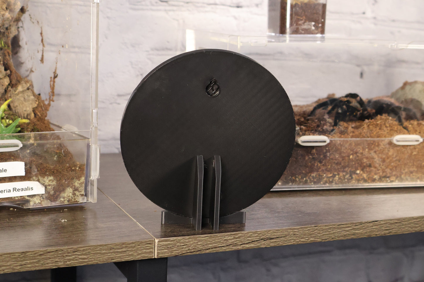 TARANTULA CROSSING 3d printed shelf wall decor sign