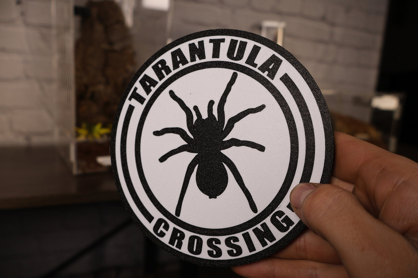 TARANTULA CROSSING 3d printed shelf wall decor sign
