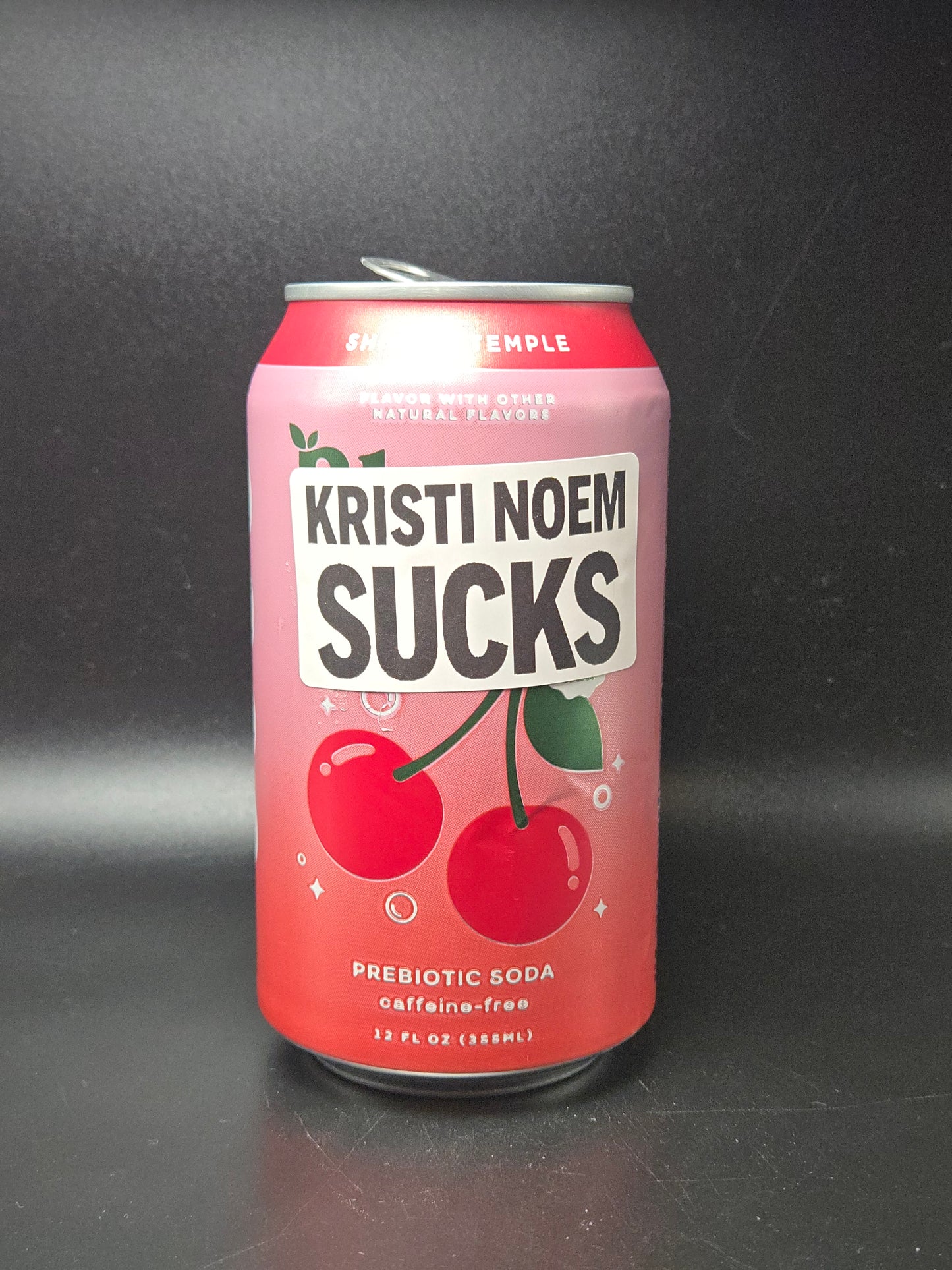KRISTI NOEM SUCKS 25-500Pack stickers bulk pack labelS decals