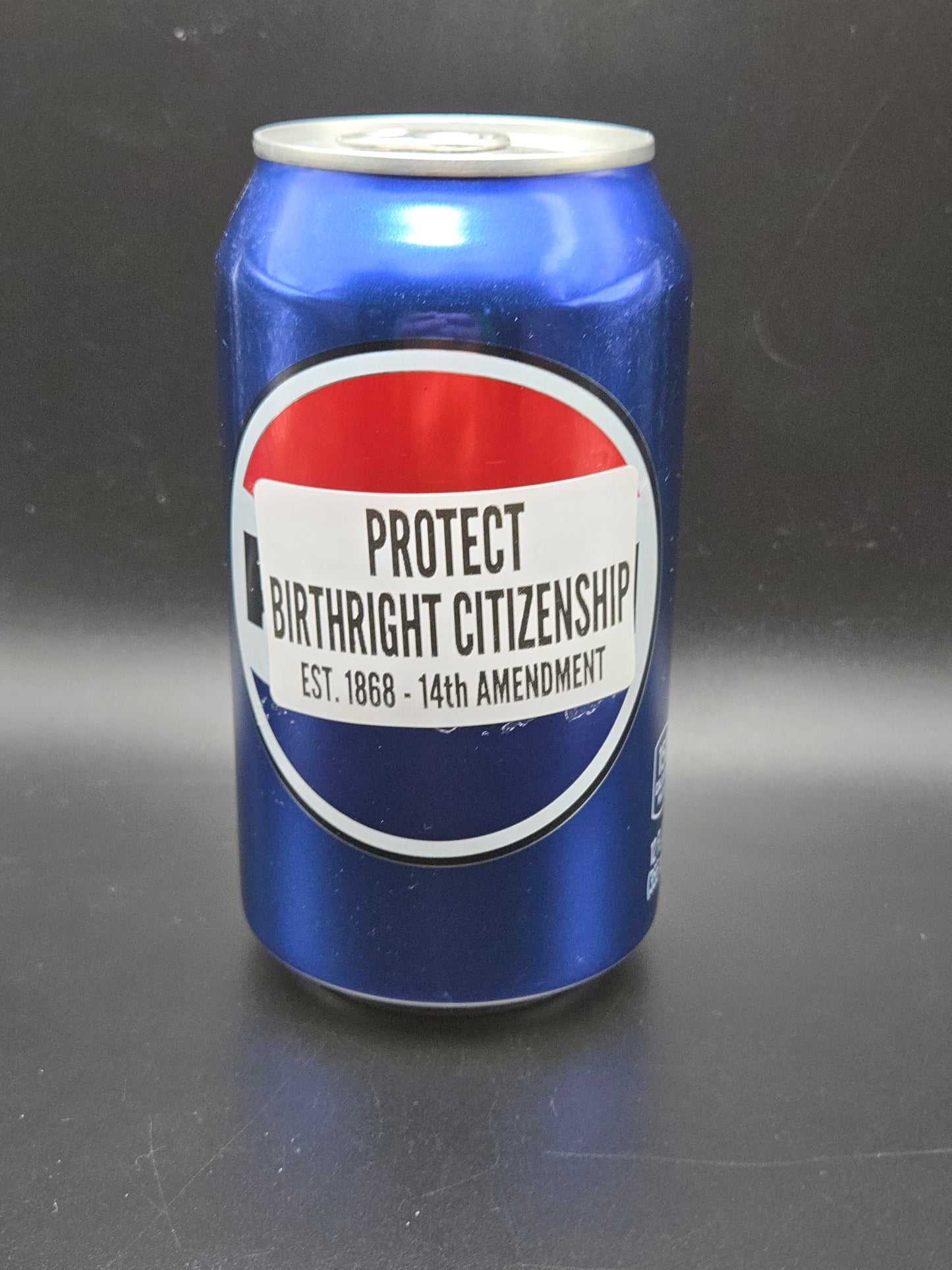 PROTECT BIRTHRIGHT CITIZENSHIP 25-500pcs stickers pack labels born here belong here