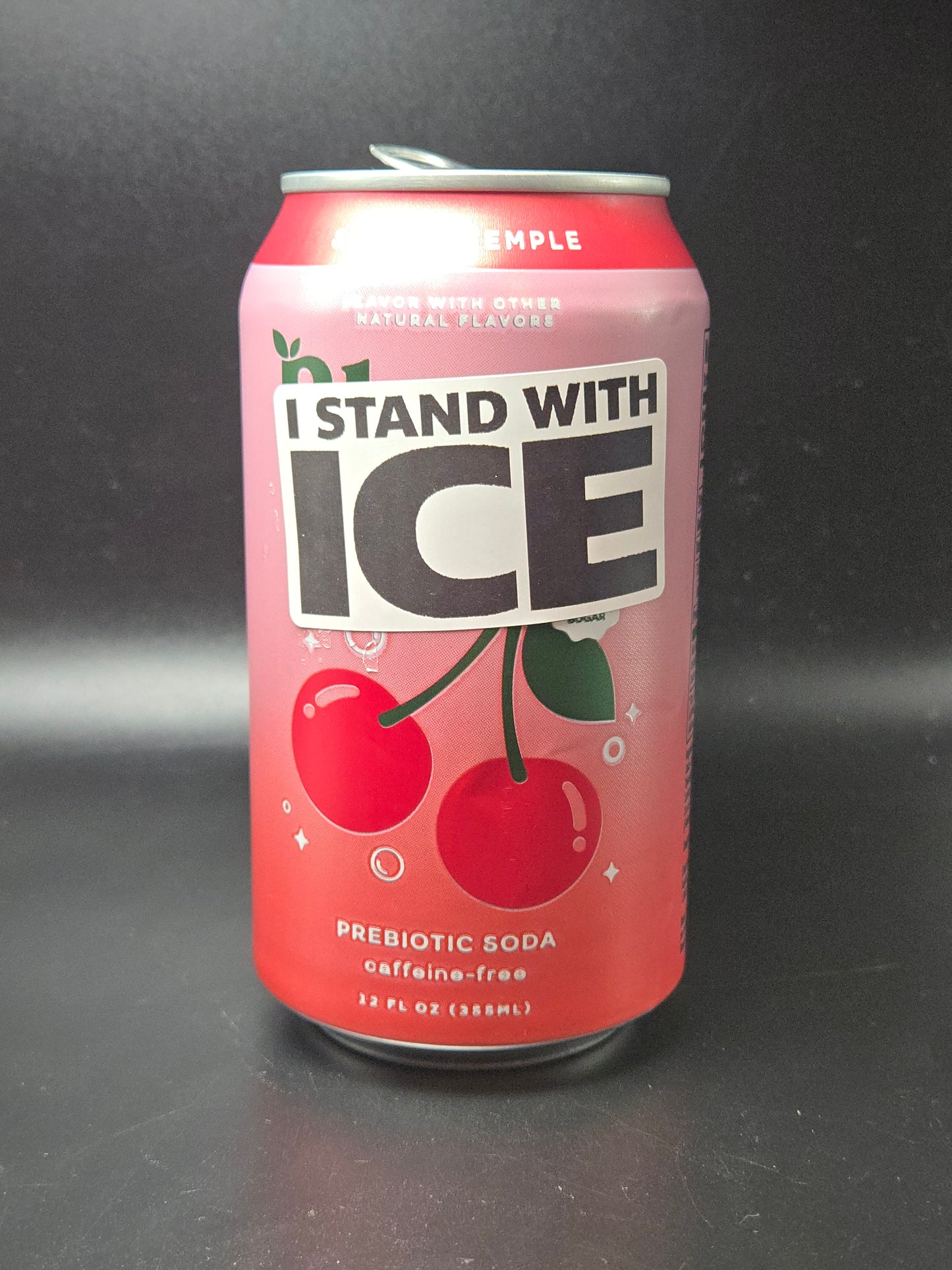 I STAND WITH ICE 25-500 bulk pack stickers decals label