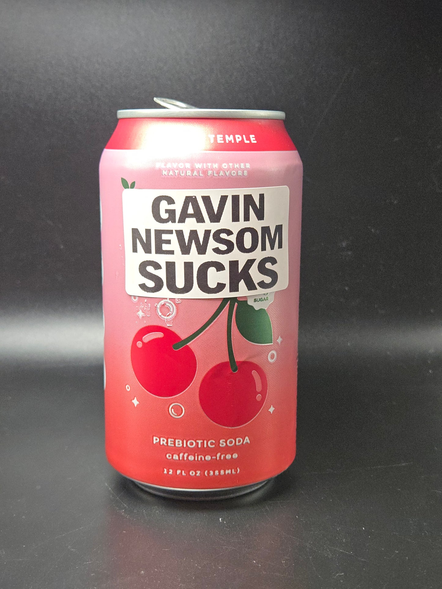 GAVIN NEWSOM SUCKS 25-500PCS stickers politic decal bulk lot labels