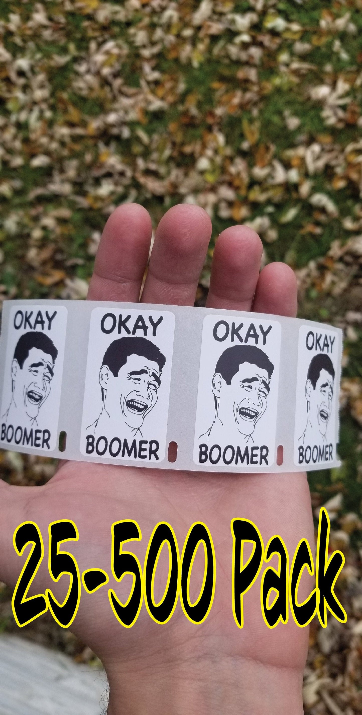OKAY Boomer stickers 25-500 Pack Gag prank sticker reddit decal Meme