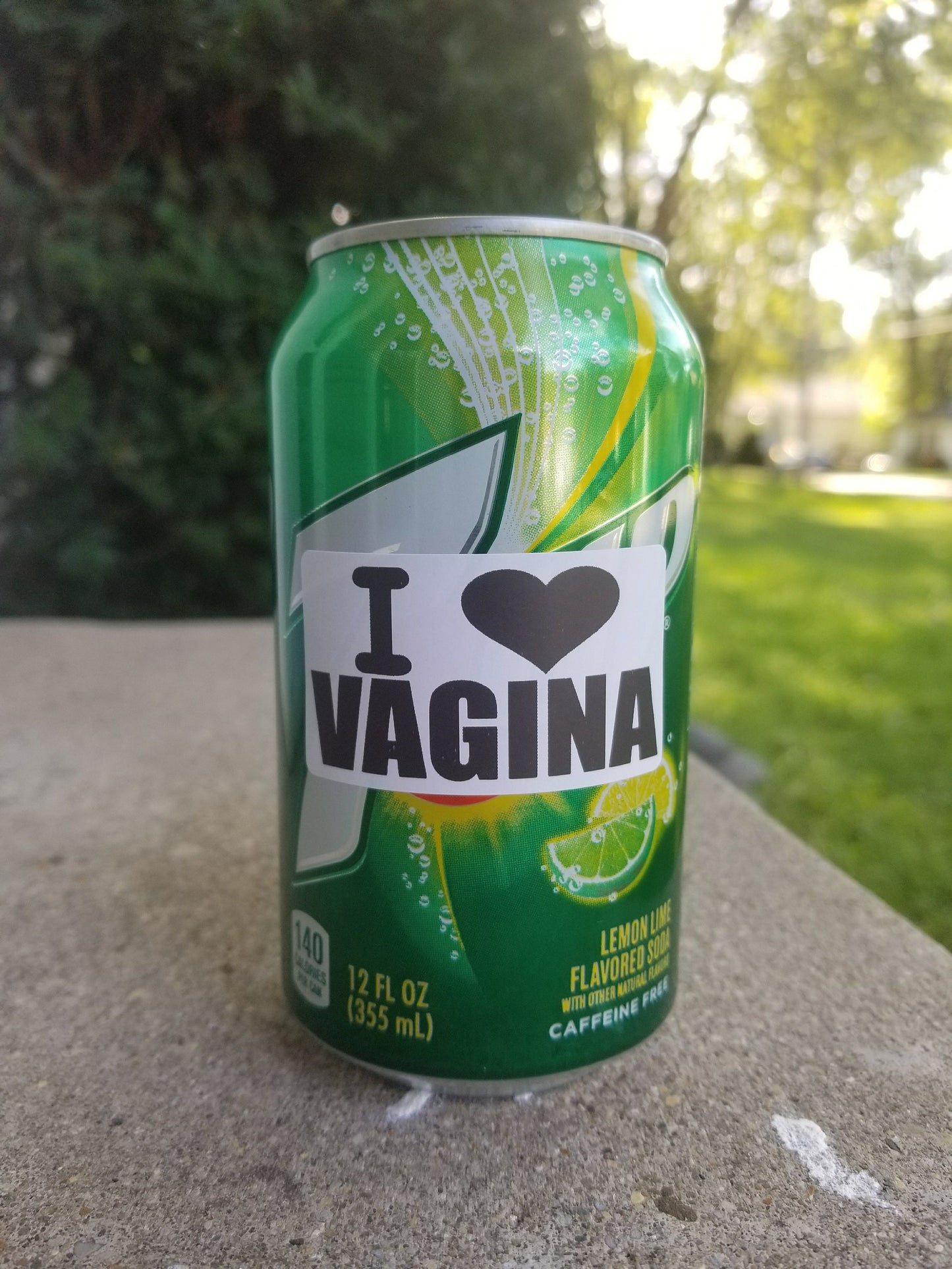 I LOVE VAGINA Stickers 25-500 Pack gag sticker joke gay lesbian gag stickers