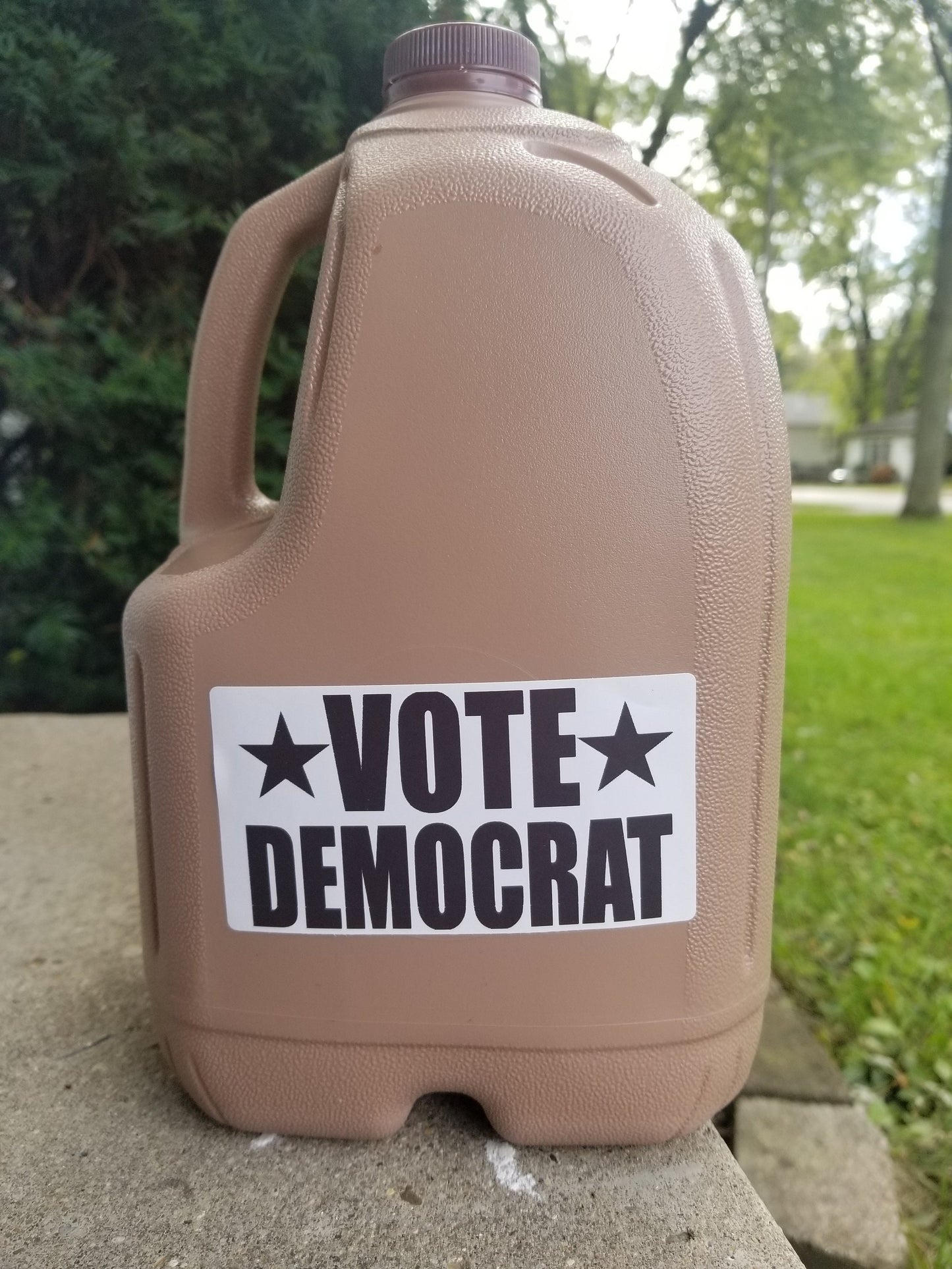 VOTE DEMOCRAT 25-500 Pack Stickers politic election vote 2020 (2 SIZES)
