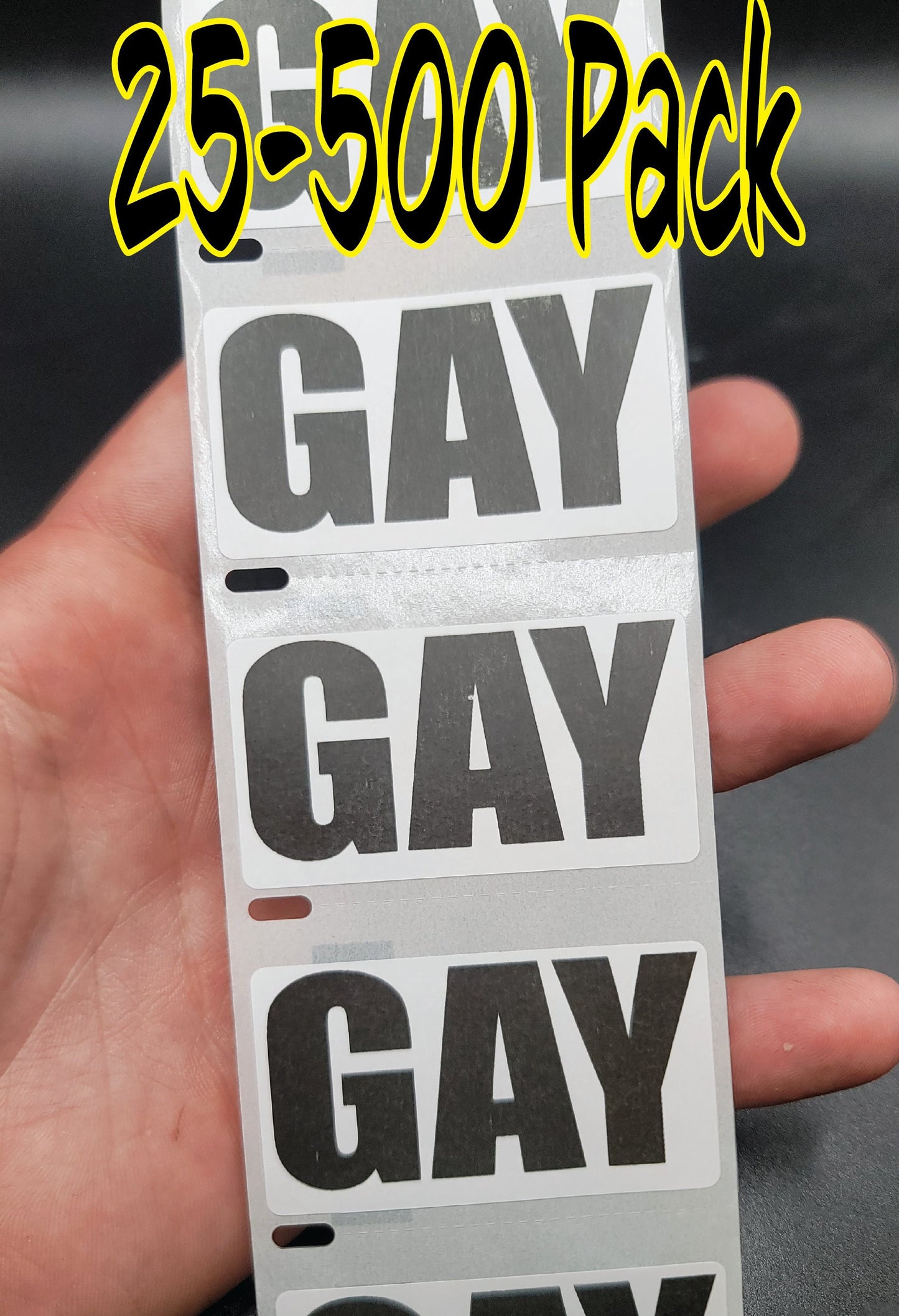 GAY Stickers 25-500 Pack pro LGBT sticker gay pride trans dont say bill decal