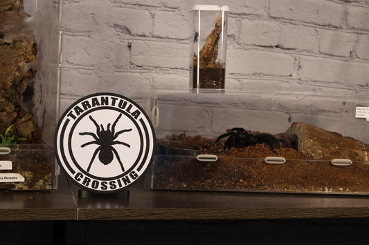 TARANTULA CROSSING 3d printed shelf wall decor sign
