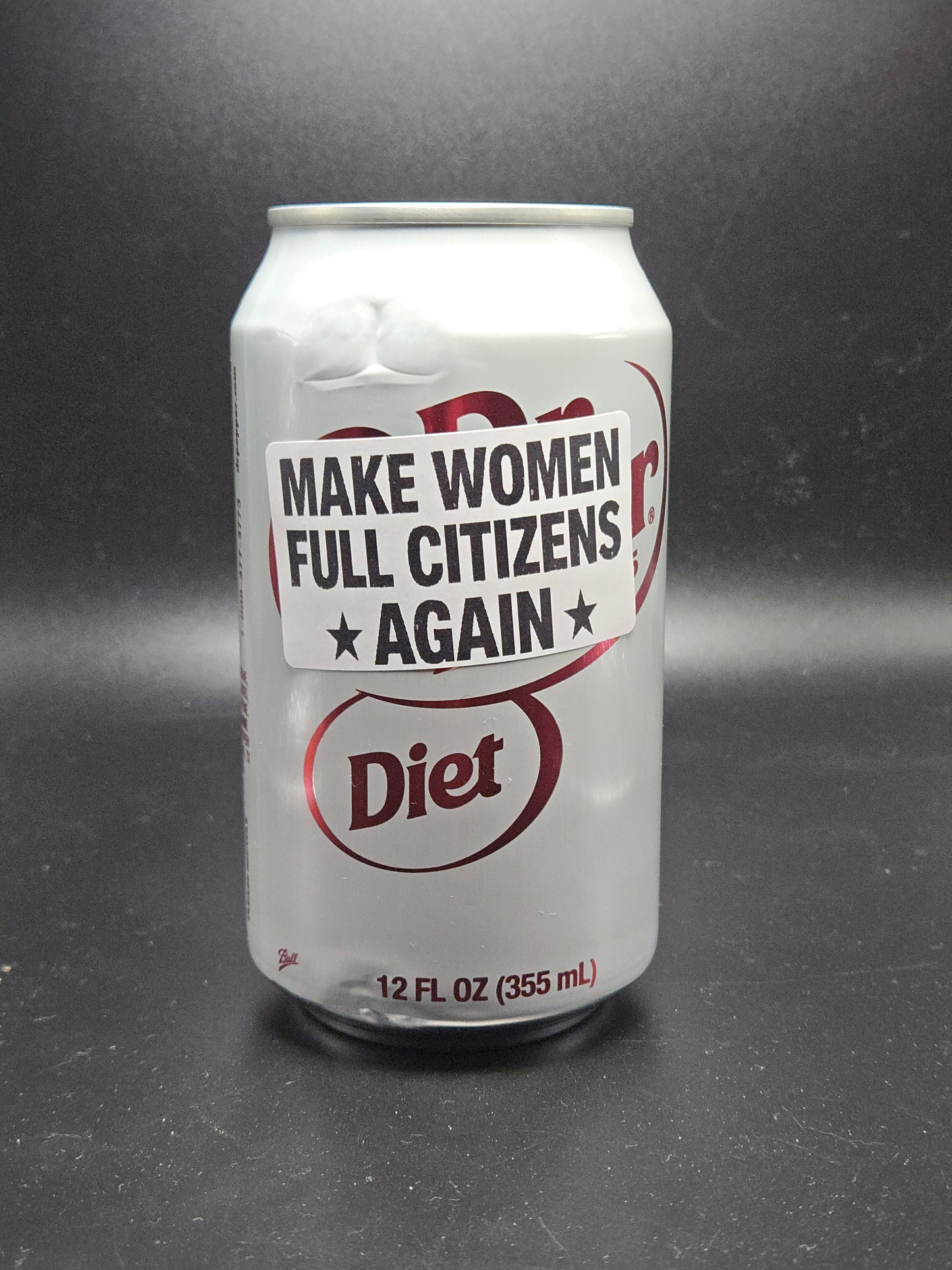 MAKE WOMEN FULL CITIZENS AGAIN  Stickers 25-500 pack labels stickers decals