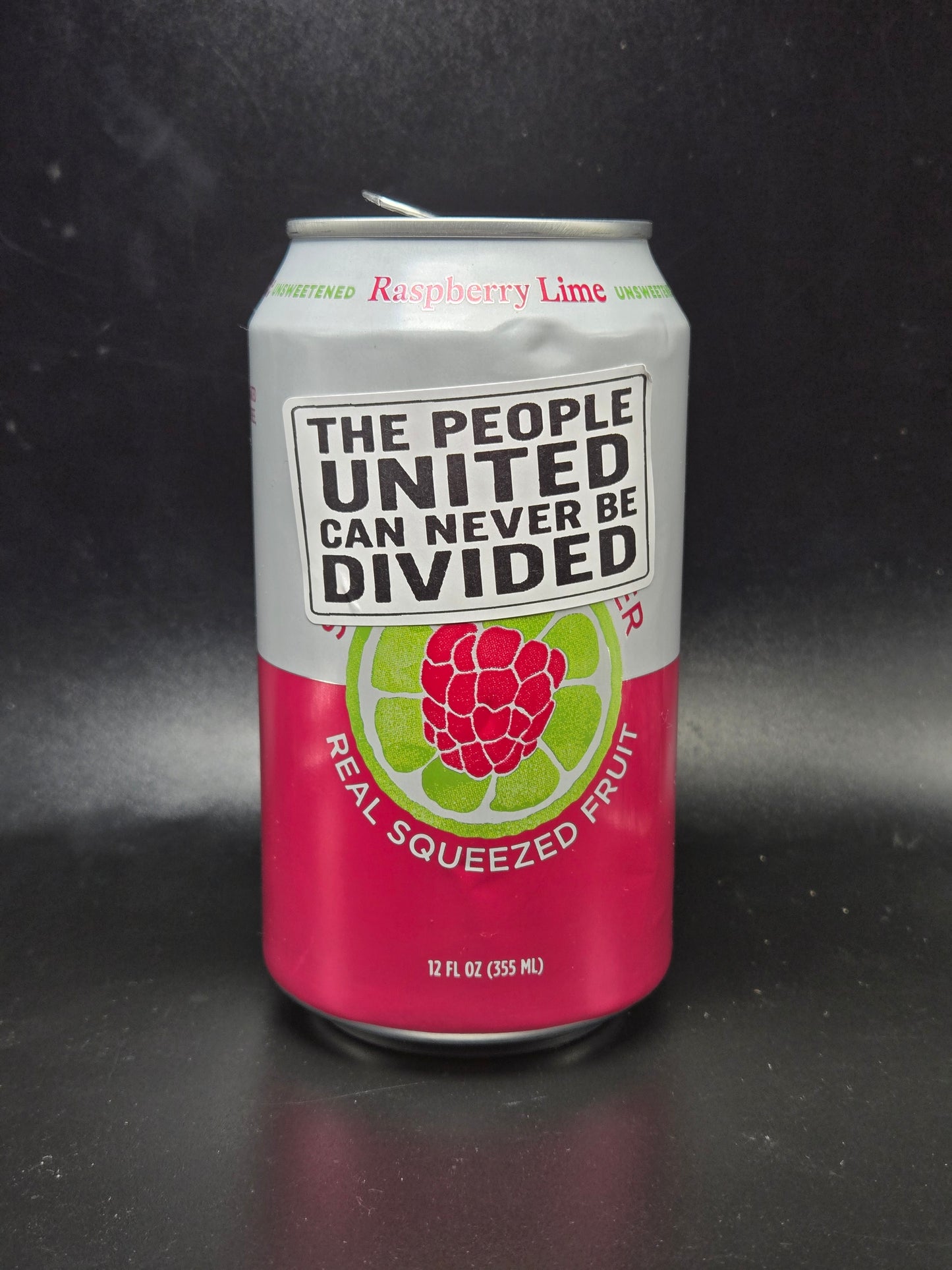 THE PEOPLE UNITED CAN NEVER BE DIVIDED 25-500 bulk pack political stickers decal labels